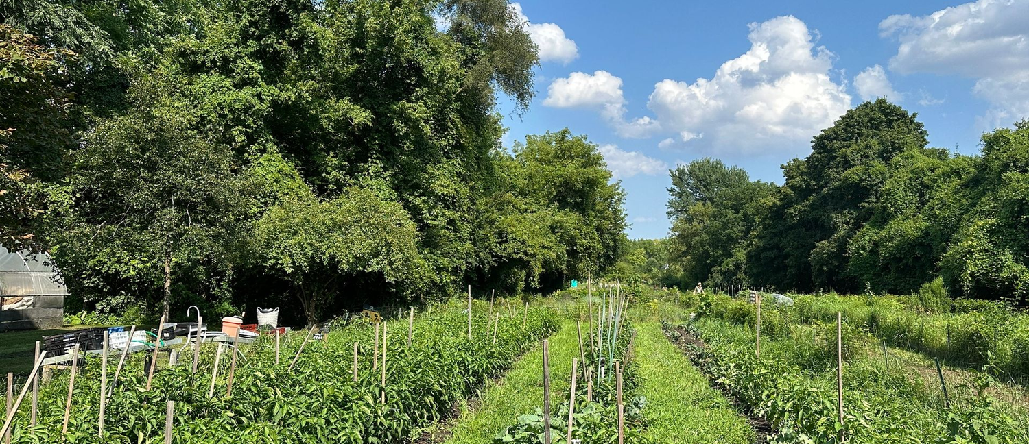 2016 - Changing the Way We Think About Global Food Security
